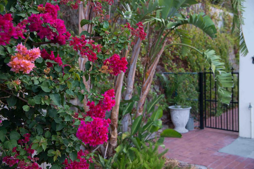 Villa Meadows Mountain View Hout Bay Exterior foto